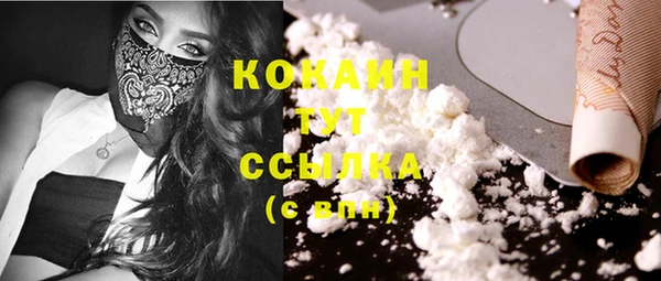сатива Абаза