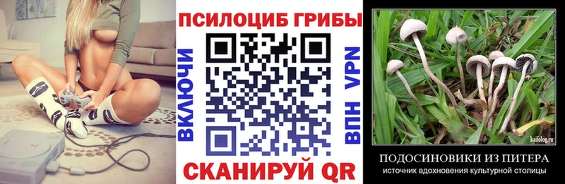 Галлюциногенные грибы Psilocybine cubensis  купить наркотики сайты  блэк спрут маркетплейс  Нижняя Тура 